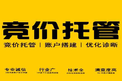 行业领先企业的SEM托管公司合作案例